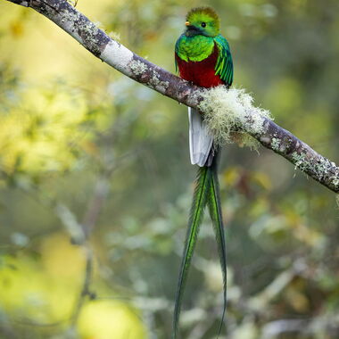 Costa Rica. Foto: Walter Günzel