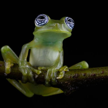 Costa Rica. Foto: Walter Günzel
