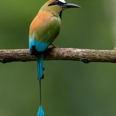Costa Rica. Foto: Walter Günzel