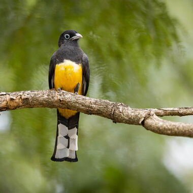 Costa Rica. Foto: Walter Günzel