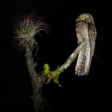 Costa Rica. Foto: Walter Günzel