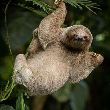 Costa Rica. Foto: Walter Günzel
