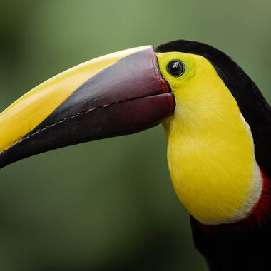 Costa Rica. Foto: Walter Günzel